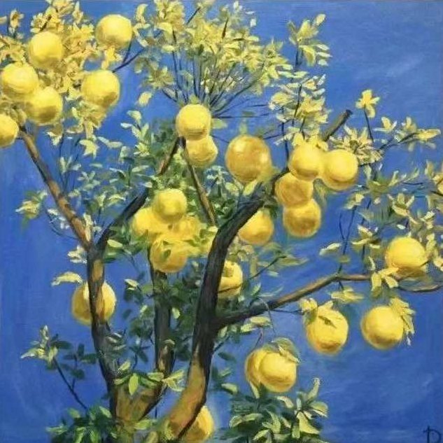 大柚子笔记 2024柚子投资课堂系统课程视频+笔记,课程,视频,赚钱,第1张