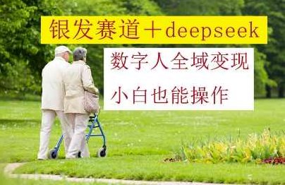 银发赛道+deepseek数字人全域变现，小白也能操作【揭秘】,课程,视频,制作,第1张
