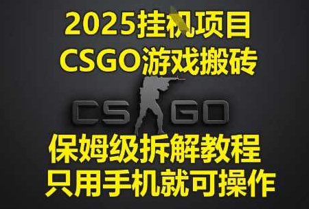 2025挂G项目，CSGO游戏搬砖，保姆级拆解教程，只用手机就可操作【揭秘】