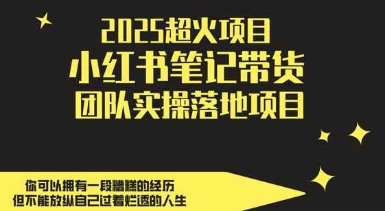 2025超火项目，小红书笔记带货团队实操落地项目，轻松日入5张,教程,掌握,讲解,第1张