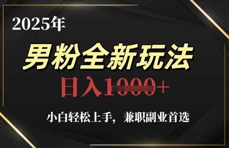 2025年男粉全新玩法，小白轻松上手副业首选，轻松日入1k+,课程,视频,教程,第1张