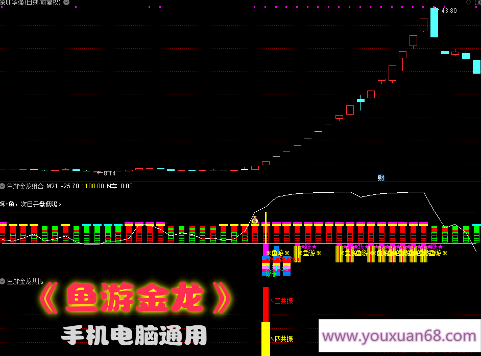 【鱼游金龙】副图选股通达信指标/捕捉强势主升/暴雨入河鱼跃成龙共振信号/手机电脑通用信号不飘逸