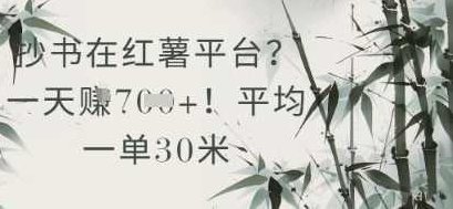抄书在小红薯平台平均一单30米，一天收益几张！【揭秘】,制作,揭秘,小红书,第1张