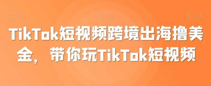 TikTok短视频跨境出海撸美金，带你玩TikTok短视频,课程,视频,第1张
