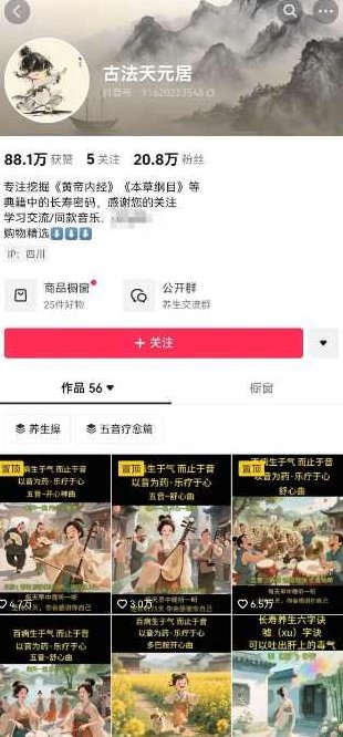 古法五音养生教程，五音疗愈的视频的制作方法，2-4小时就能学会，作者10天涨粉10W,视频,教程,制作,第2张