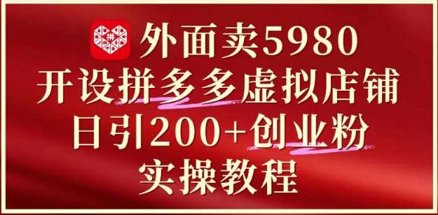 外面卖5980开设拼多多虚拟店铺：单日引流200+创业付费粉实战教程,课程,教程,设计,第1张