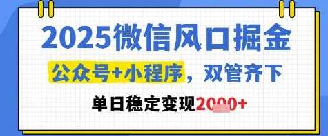 2025微信风口掘金，公众号+小程序双管齐下，单日稳定变现1k+【揭秘】,课程,视频,创业,第1张