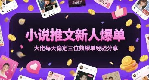 小说推文新人爆单大佬每天稳定三位数爆单经验分享【揭秘】,课程,视频,揭秘,第1张