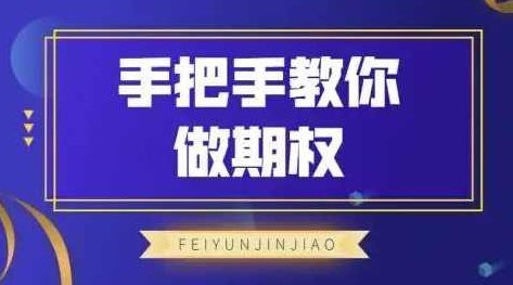 飞云金教《手把手教你做期权》,课程,第1张