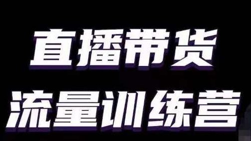 直播带货流量训练营，小白主播必学直播课（9节视频课）,课程,视频,演讲,第1张