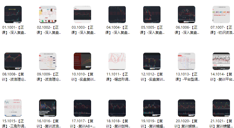 【熊猫玩币】熊猫交易学社 黄金VIP 系统课-09-提升篇 24视频,课程,视频,背景,第1张