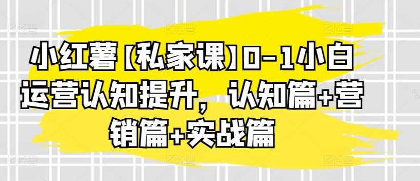 天诺老吴小红薯【私家课】0-1小白运营认知提升，认知篇+营销篇+实战篇,基础,秘籍,背景,第1张