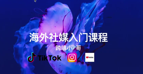 跨境小P哥海外社媒运营课,理论+演练,全流程,课程,视频,教程,第1张 跨境小P哥海外社媒运营课,理论+演练,全流程,课程,视频,教程,第1张