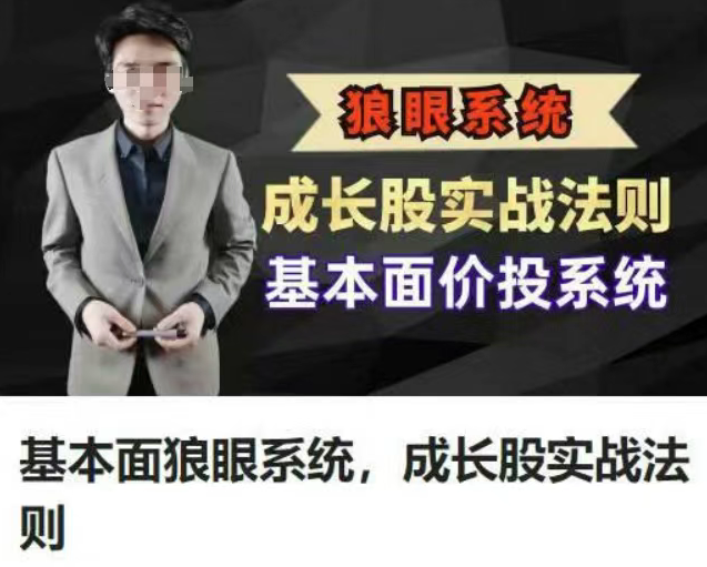 股道九杨基本面狼眼系统，成长股实战法则，基本面价投系统