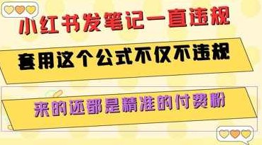 小红书发笔记一直违规，套用这个公式不仅不违规，来的还都是精准的付费粉【揭秘】小红书违规不再忧，揭秘精准付费粉获取秘笈,揭秘,故事,介绍,第1张