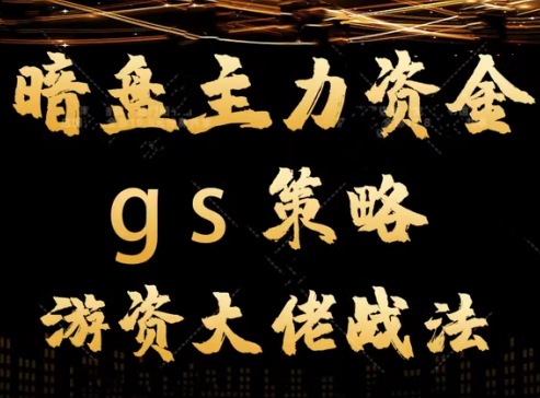 平民翻身暗盘主力资金 gs策略方法 游资大佬战法教学视频,课程,视频,教学,第1张