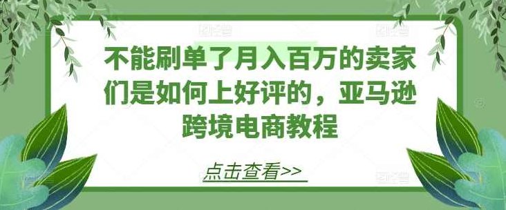 不能刷单了月入百万的卖家们是如何上好评的，亚马逊出海电商教程,课程,教程,第1张