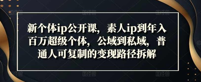 新个体ip公开课，素人ip到年入百万超级个体，公域到私域，普通人可复制的变现路径拆解,课程,价值,第1张