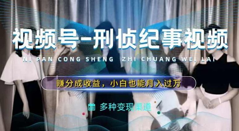 利用刑侦纪实视频，赚视频号分成计划收益，操作简单，新手小白轻松月入过万【项目拆解】,视频,故事,介绍,第1张