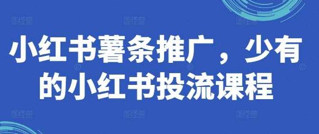 小红书薯条推广，少有的小红书投流课程