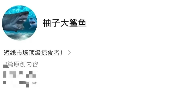 柚子大鲨鱼炒股直播课程,课程,直播课,大局观,第1张