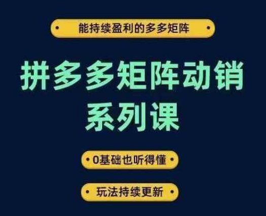 拼多多矩阵动销系列课,能持续盈利的多多矩阵,0基础也听得懂,玩法持续更新,课程,视频,基础,第1张 拼多多矩阵动销系列课,能持续盈利的多多矩阵,0基础也听得懂,玩法持续更新,课程,视频,基础,第1张