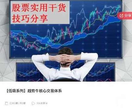 【低吸系列】趋势牛核心交易体系，低吸系列，趋势牛核心交易体系解析,课程,解析,第1张