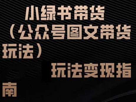 小绿书带货（公众号图文带货玩法）玩法变现指南【项目拆解】,课程,指南,素材,第1张