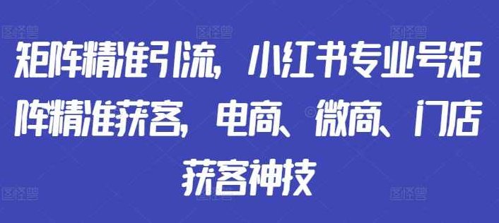 矩阵精准引流，小红书专业号矩阵精准获客，电商、微商、门店获客神技,课程,设计,指南,第1张