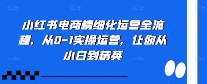 小红书电商精细化运营全流程,从0-1实操运营,让你从小白到精英,课程,基础,介绍,第1张 小红书电商精细化运营全流程,从0-1实操运营,让你从小白到精英,课程,基础,介绍,第1张