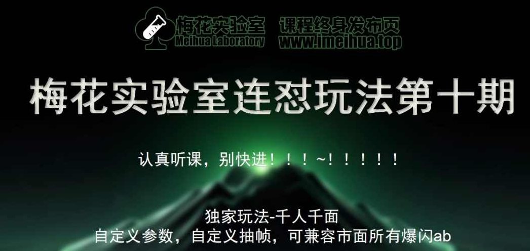 梅花实验室社群专享课视频号连怼玩法第十期课程+第二部分-FF助手全新高自由万能爆闪AB处理,课程,视频,视频号,第1张