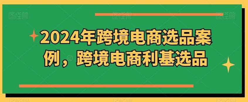 阿甘2024年跨境电商选品案例，跨境电商利基选品（更新11月）,课程,成功,第1张