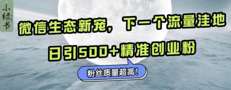 微信生态新宠小绿书：下一个流量洼地，日引500+精准创业粉，粉丝质量超高
