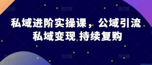 私域进阶实操课，公域引流 私域变现 持续复购-郑鹏飞-飞哥电商,课程,第1张