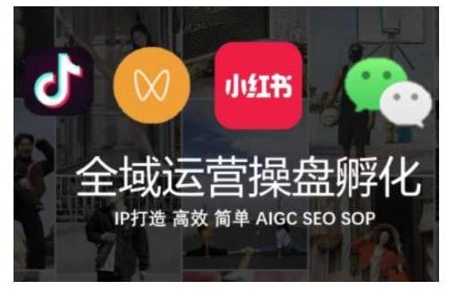 全域运营操盘(抖音+私域+小红书)，IP打造高效简单,课程,视频,抖音,第1张