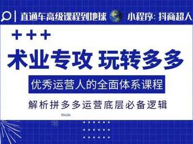 术业专攻玩转多多,优秀运营人的全面体系课程,解析拼多多运营底层必备逻辑,课程,视频,解析,第1张 术业专攻玩转多多,优秀运营人的全面体系课程,解析拼多多运营底层必备逻辑,课程,视频,解析,第1张