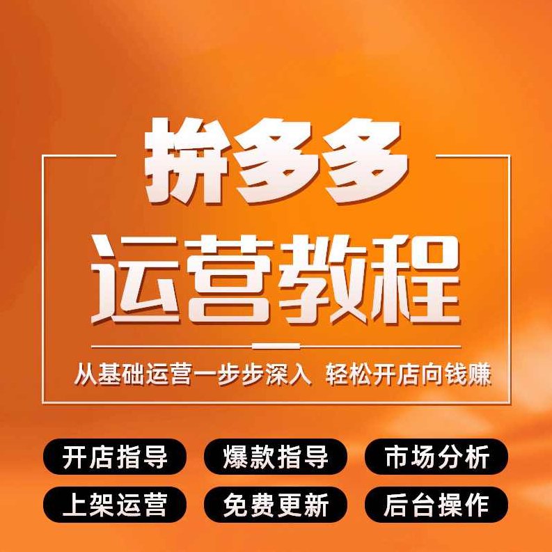 拼多多富网店火爆运营开店教程（共22课）,课程,教程,基础,第1张