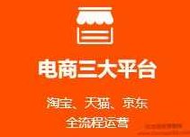 高级电商运营，覆盖京东、天猫、淘宝，14天培训完整版课程