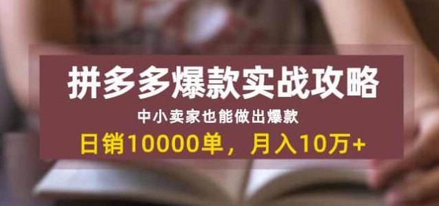 拼多多爆款实战攻略：中小卖家也能做出爆款，日销10000单月入10w+,课程,基础,第2张