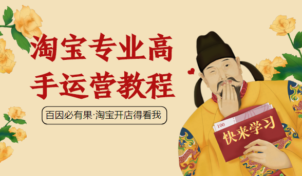 暴疯团队VIP赚钱项目课程：淘宝专业高手运营教程,课程,教程,基础,第2张