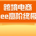 2020跨境电商蓝海新机会-SHOPEE大卖特训营：高阶终极课程（16节课）,课程,视频,思维,第1张