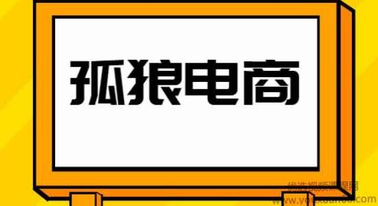 孤狼电商店群VIP教程：孤狼店群2021-禅中说电商,课程,教程,基础,第1张