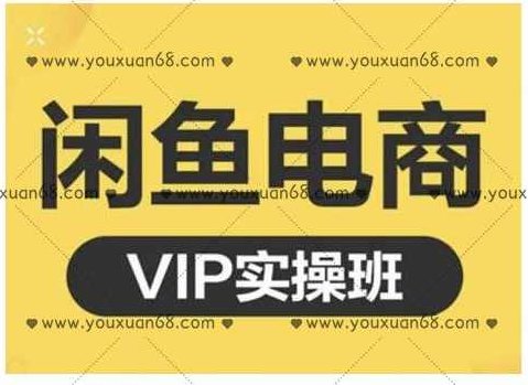 鱼客·闲鱼电商零基础入门到进阶VIP实战课程，帮助你掌握闲鱼电商所需的各项技能,课程,第1张