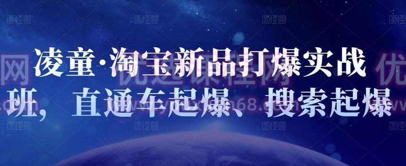 凌童·淘宝新品打爆实战班，直通车起爆、搜索起爆,课程,价值,案例分析,第1张
