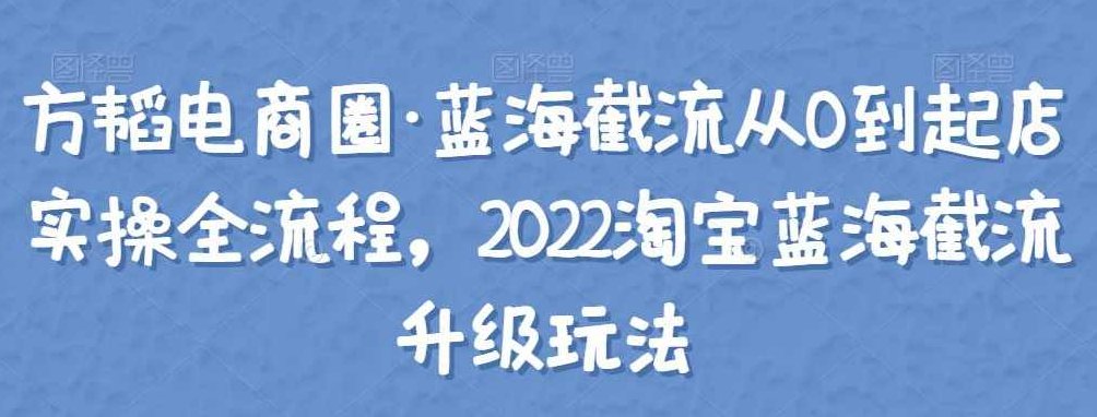 方韬电商圈·蓝海截流从0到起店实操全流程，2022淘宝蓝海截流升级玩法,课程,基础,2022,第1张