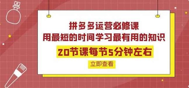 拼多多运营必修课：20节课每节5分钟左右，用最短的时间学习最有用的知识,课程,赚钱,掌握,第1张