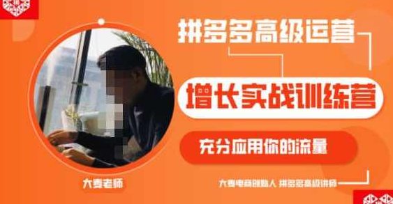 拼多多高级运营增长实战训练营，充分应用你的流量（拼多多2980元付费课程）,课程,教程,第1张
