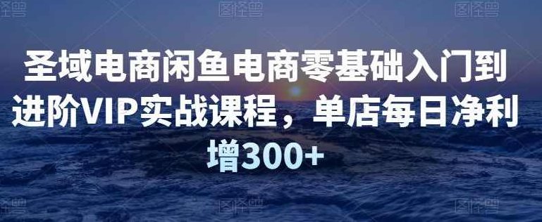 【圣域电商】闲鱼电商零基础入门到进阶VIP实战课程,课程,视频,基础,第1张