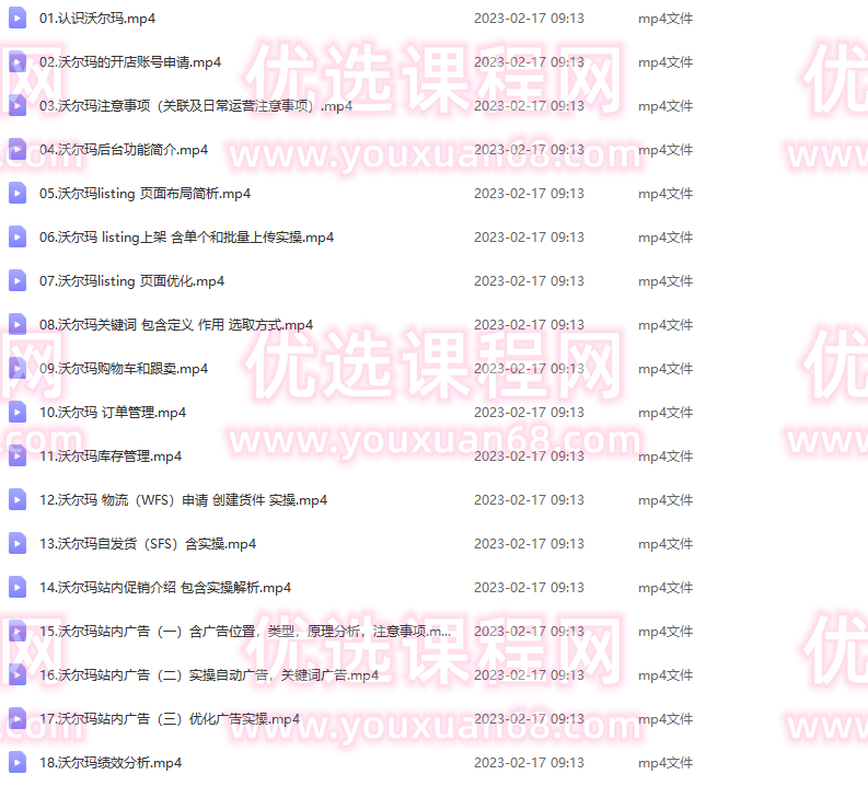 跨境电商沃尔玛平台-从0基础到入门，沃尔玛的红利，跨境新玩法,基础,支持,入门,第2张