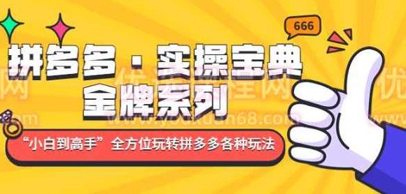 拼多多·实操宝典：金牌系列“小白到高手”带你全方位玩转拼多多各种玩法,课程,介绍,策略,第1张